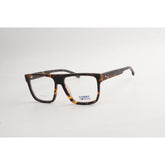 Tortoise Brown